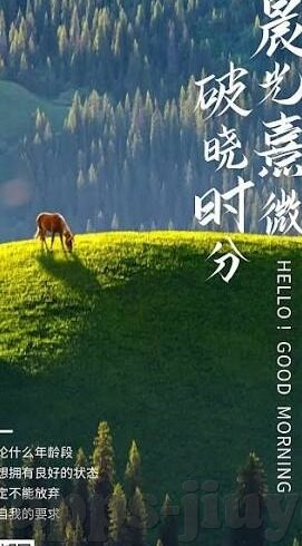 90比分网足球比分-探秘90比分网，足球比分的数字江湖与球迷狂欢