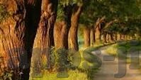 斯洛伐克足球比分-斯洛伐克足球，绿茵场上的坚韧之师与比分背后的故事