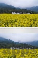 足球比分单推-深度解析，足球比分单推的艺术与科学