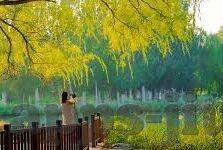 足球比分和分析-深度解析，足球比分背后的战术博弈与数据分析奥秘