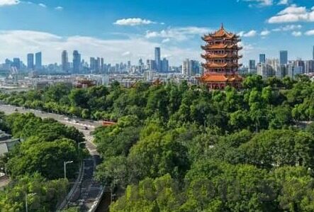 足球比分智利-智利足球，从比分波动中窥探南美劲旅的竞技风云
